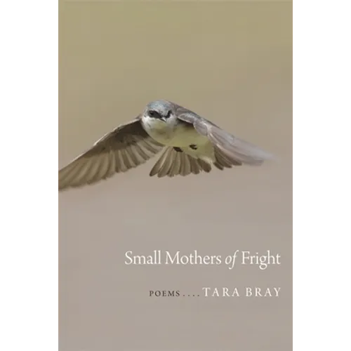 Small Mothers of Fright: Poems - Paperback