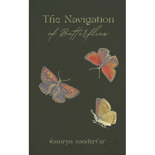 The Navigation of Butterflies - Paperback