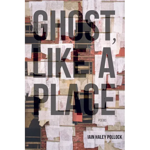 Ghost, Like a Place - Paperback