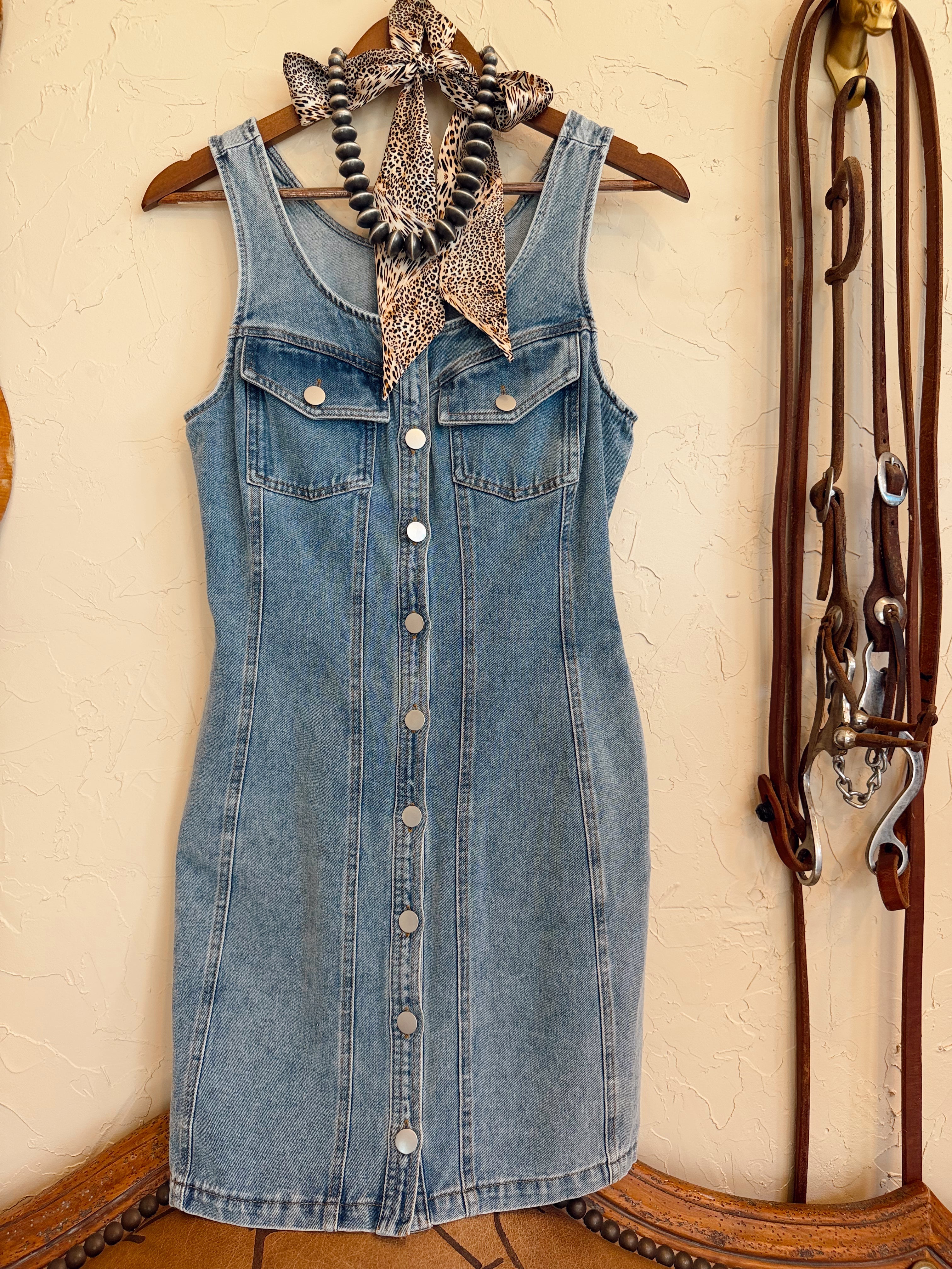 The Darian Denim Dress