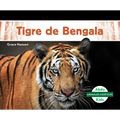 Tigre de Bengala (Bengal Tiger) - Library Binding