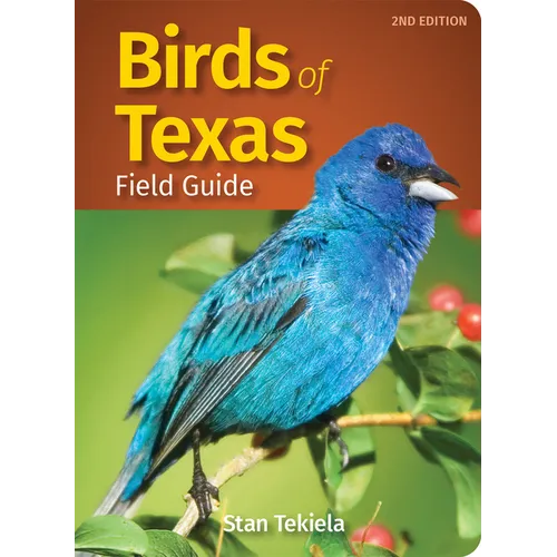 Birds of Texas Field Guide - Paperback