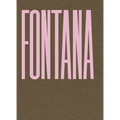 Lucio Fontana: Sculpture - Hardcover