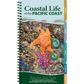 Coastal Life of the Pacific Coast: Discover Tidepools and Identify Beachcombing Finds and Iconic Wildlife - Spiral