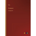 Protagoras: in large print - Paperback