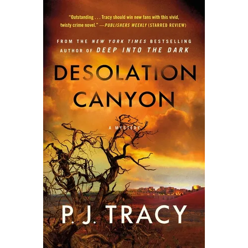 Desolation Canyon: A Mystery - Paperback