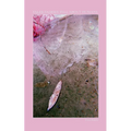 Tales Faeries Tell About Humans - Paperback