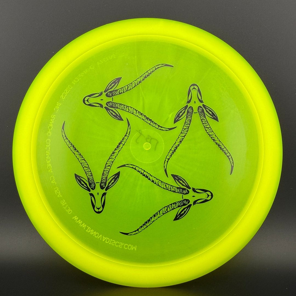 Champion Gazelle - Artist's Corner