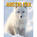 Arctic Fox: Fun Facts Book for Kids - Paperback
