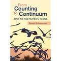 From Counting to Continuum - Paperback