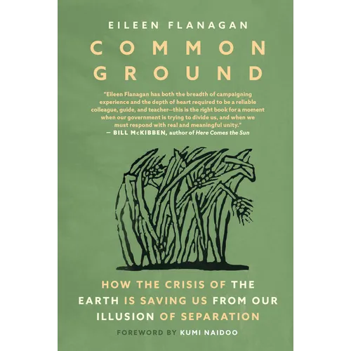 Common Ground: How the Crisis of the Earth Is Saving Us from Our Illusion of Separation - Paperback