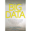 Big Data - Paperback