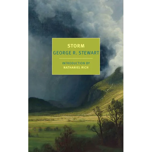 Storm - Paperback
