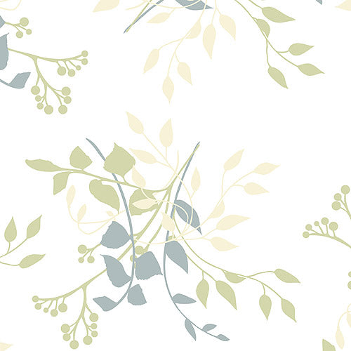 CONTACT-3 YD-ASPEN ALOE