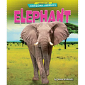 Elephant - Library Binding
