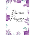 Divine Purpose - Paperback