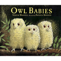 Owl Babies - Paperback