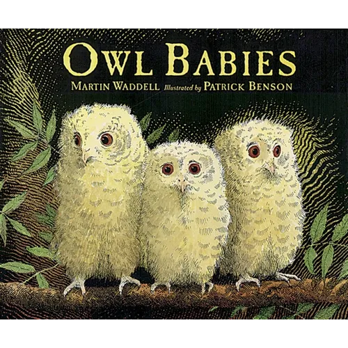 Owl Babies - Paperback