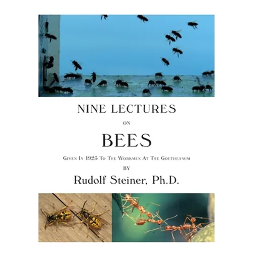 Nine Lectures on Bees: Given In 1923 To The Workmen At The Goetheanum - Paperback