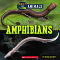 Amphibians (Wild World: Fast and Slow Animals) - Paperback