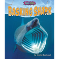 Basking Shark - Library Binding