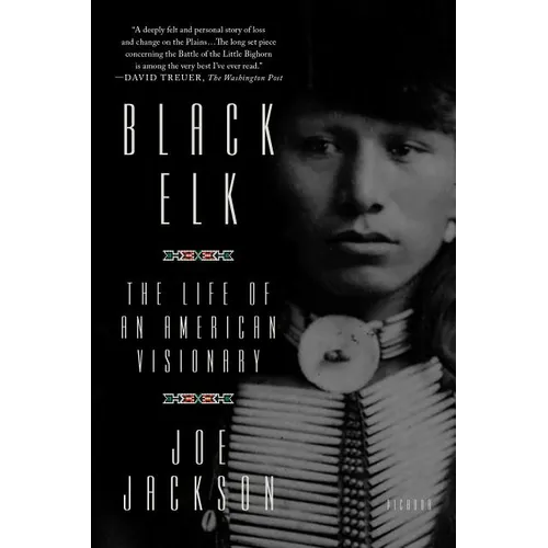 Black Elk: The Life of an American Visionary - Paperback