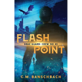 Flashpoint - Paperback