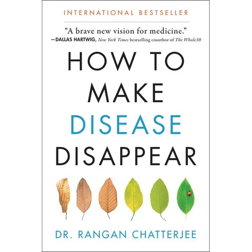 How to Make Disease Disappear - Paperback