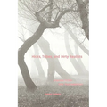 Hicks, Tribes, and Dirty Realists: American Fiction After Postmodernism - Paperback