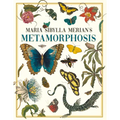Maria Sibylla Merian's Metamorphosis: One Woman's Discovery of the Transformation of Butterflies and Insects - Hardcover