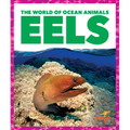 Eels - Paperback