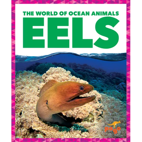 Eels - Paperback