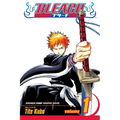 Bleach, Vol. 1: Strawberry and the Soul Reapers - Paperback