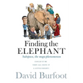 Finding the Elephant: Subspace, the Mega-phenomenon - Paperback