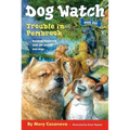 Trouble in Pembrook - Paperback