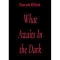 What Awaits In the Dark - Paperback
