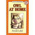 Owl at Home - Hardcover