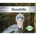 Shoebills - Library Binding