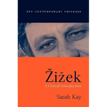 Zizek: A Critical Introduction - Paperback