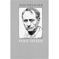 Paris Spleen: 1869 - Paperback