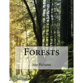 Forests - Paperback
