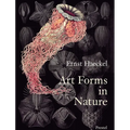 Art Forms in Nature: The Prints of Ernst Haeckel - Paperback