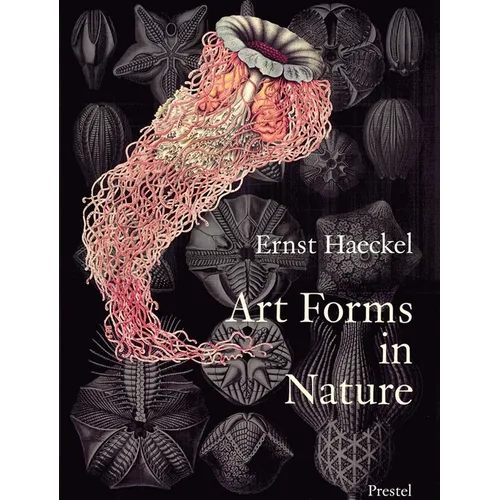 Art Forms in Nature: The Prints of Ernst Haeckel - Paperback