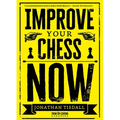 Improve Your Chess Now - Paperback