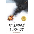 It Looks Like Us - Hardcover