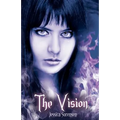 The Vision: Fallen Star Series - Paperback