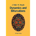 Dynamics and Bifurcations - Paperback