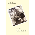 Little Lives - Paperback