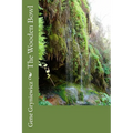 The Wooden Bowl - Paperback