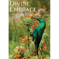 DIVINE EMBRACE New, 30 Chapter, 458page Revised Edition - Paperback